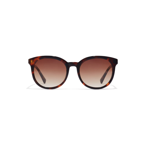 Hawkers Sunglasses 